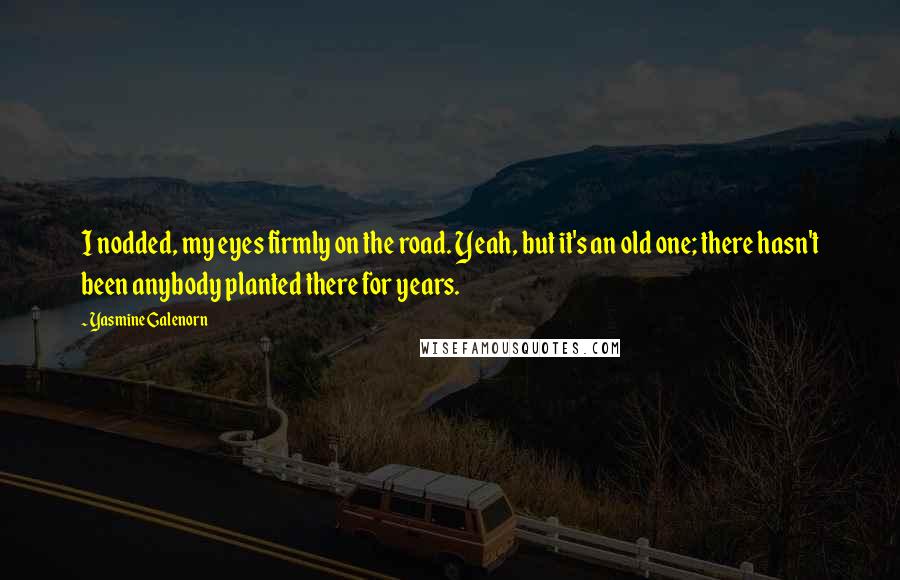 Yasmine Galenorn Quotes: I nodded, my eyes firmly on the road. Yeah, but it's an old one; there hasn't been anybody planted there for years.