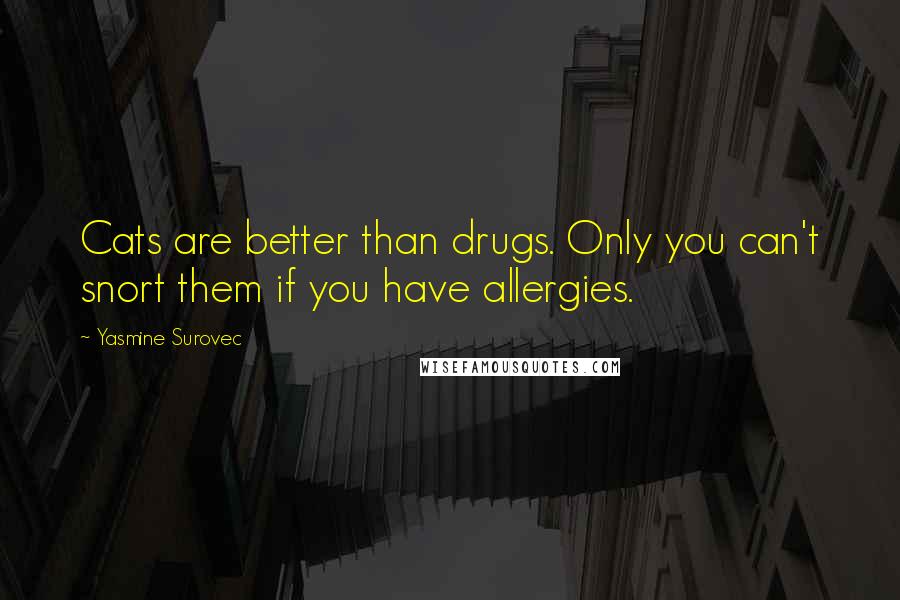 Yasmine Surovec Quotes: Cats are better than drugs. Only you can't snort them if you have allergies.