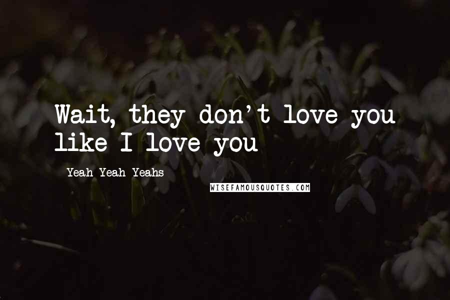 Yeah Yeah Yeahs Quotes: Wait, they don't love you like I love you