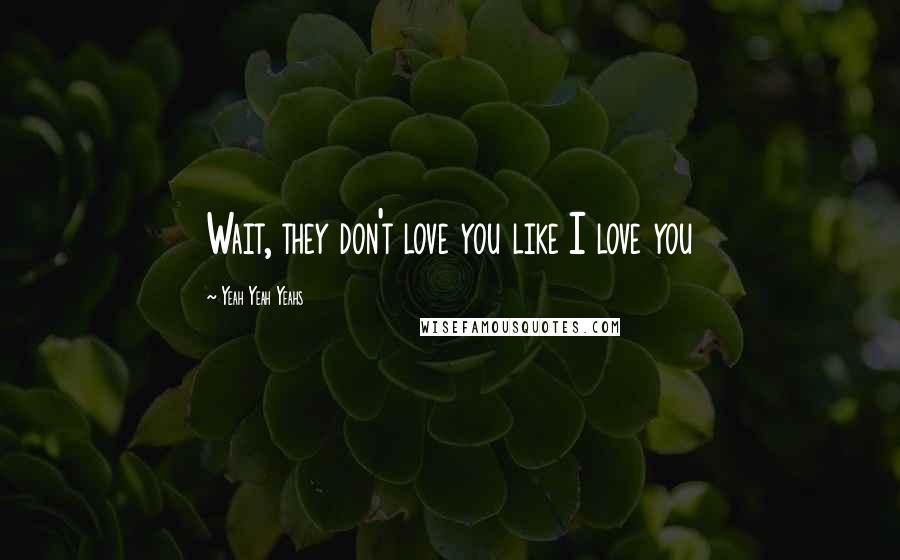 Yeah Yeah Yeahs Quotes: Wait, they don't love you like I love you