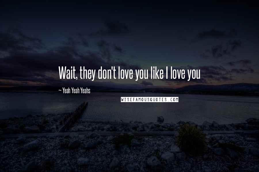 Yeah Yeah Yeahs Quotes: Wait, they don't love you like I love you