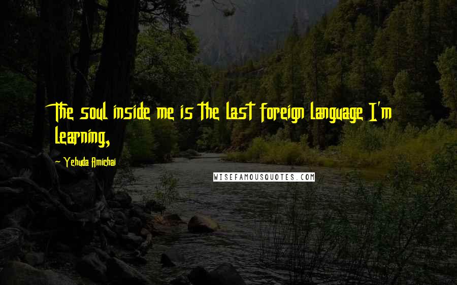 Yehuda Amichai Quotes: The soul inside me is the last foreign language I'm learning,