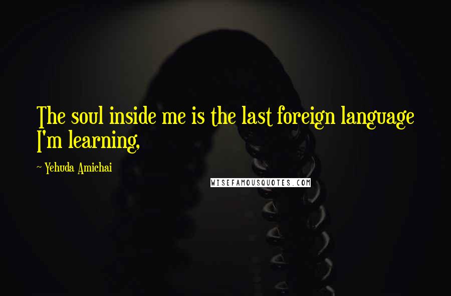 Yehuda Amichai Quotes: The soul inside me is the last foreign language I'm learning,