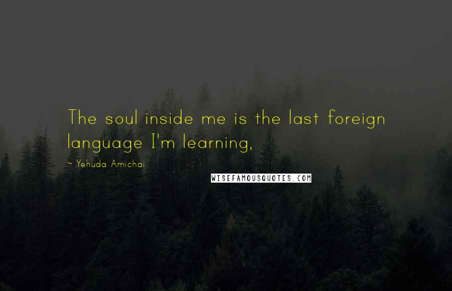 Yehuda Amichai Quotes: The soul inside me is the last foreign language I'm learning,