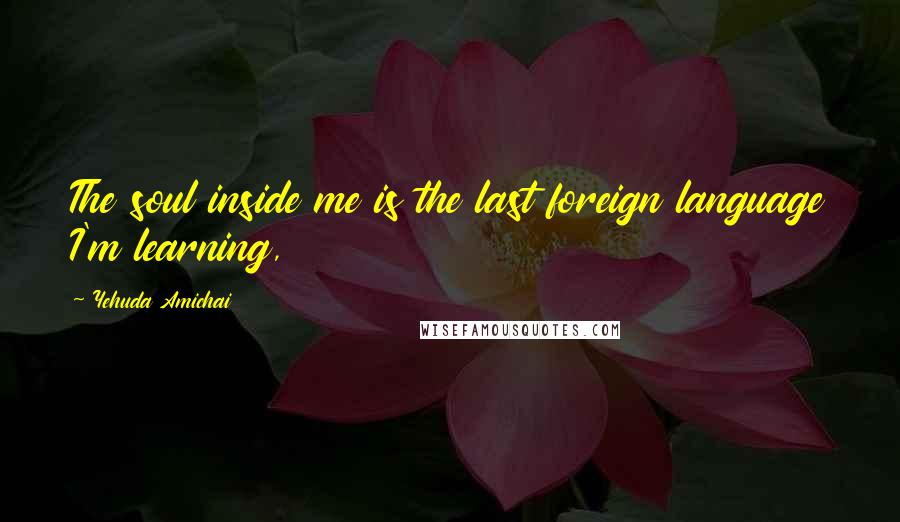 Yehuda Amichai Quotes: The soul inside me is the last foreign language I'm learning,