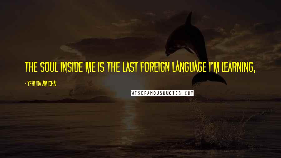 Yehuda Amichai Quotes: The soul inside me is the last foreign language I'm learning,