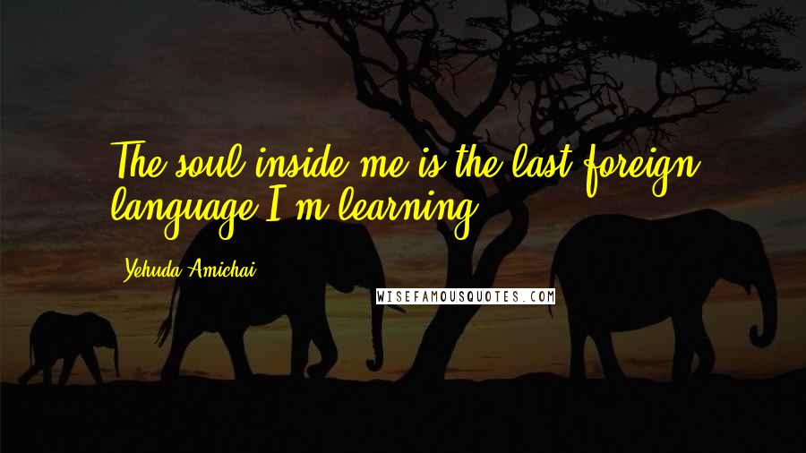 Yehuda Amichai Quotes: The soul inside me is the last foreign language I'm learning,