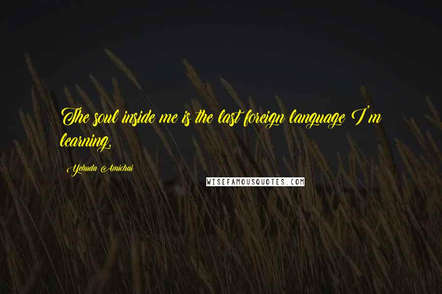 Yehuda Amichai Quotes: The soul inside me is the last foreign language I'm learning,