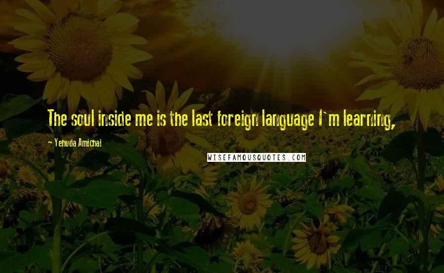 Yehuda Amichai Quotes: The soul inside me is the last foreign language I'm learning,