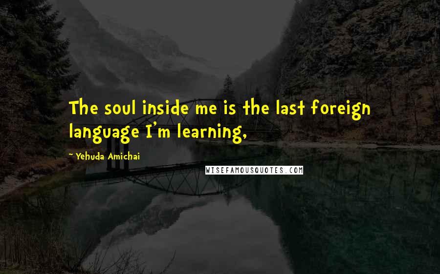 Yehuda Amichai Quotes: The soul inside me is the last foreign language I'm learning,