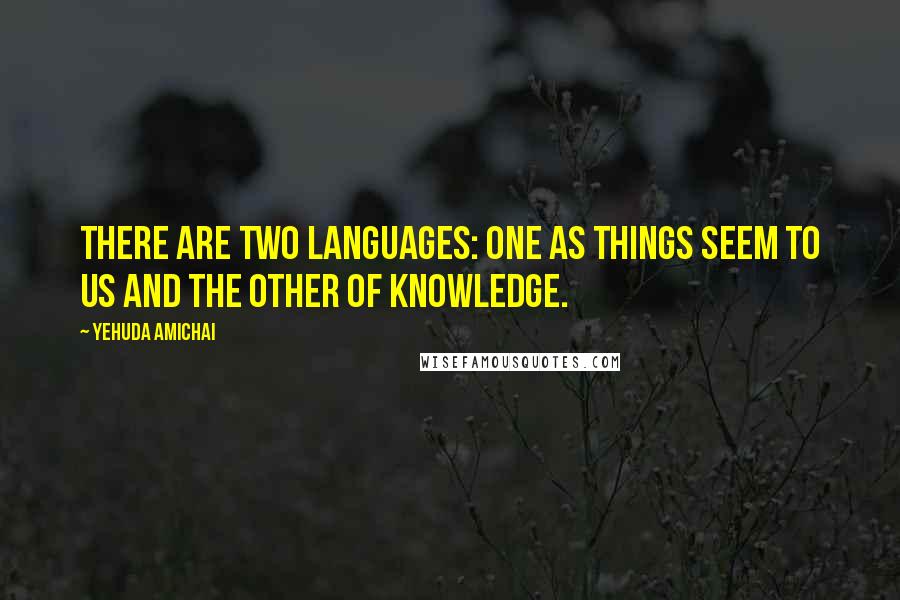 Yehuda Amichai Quotes: There are two languages: one as things seem to us and the other of knowledge.