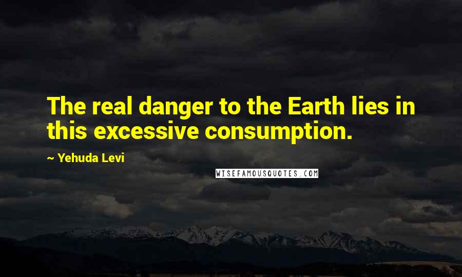 Yehuda Levi Quotes: The real danger to the Earth lies in this excessive consumption.