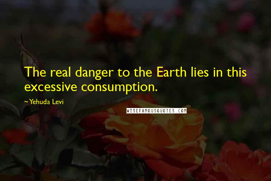 Yehuda Levi Quotes: The real danger to the Earth lies in this excessive consumption.