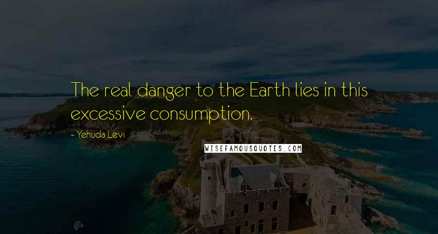 Yehuda Levi Quotes: The real danger to the Earth lies in this excessive consumption.