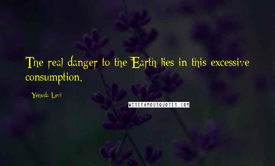Yehuda Levi Quotes: The real danger to the Earth lies in this excessive consumption.