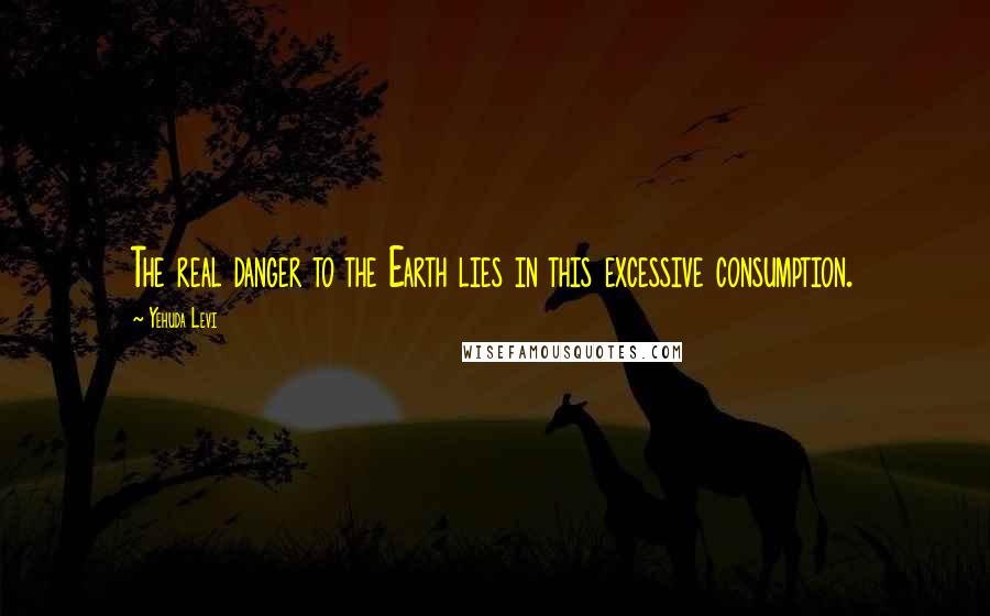Yehuda Levi Quotes: The real danger to the Earth lies in this excessive consumption.