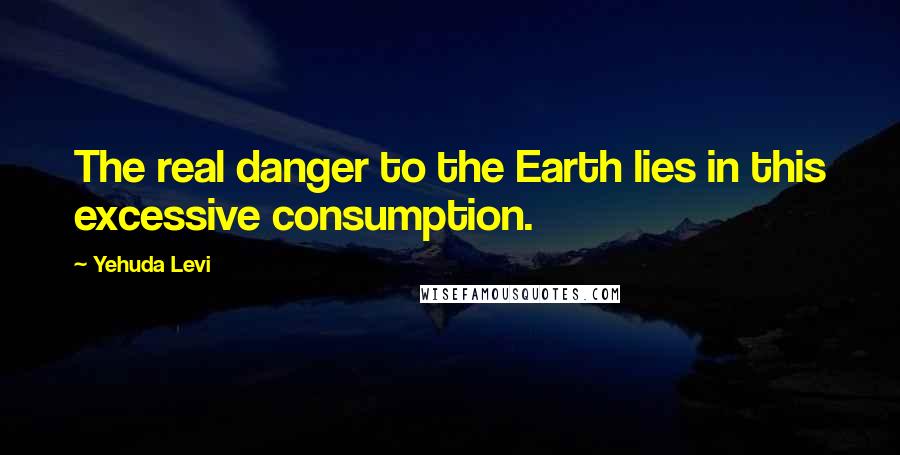 Yehuda Levi Quotes: The real danger to the Earth lies in this excessive consumption.