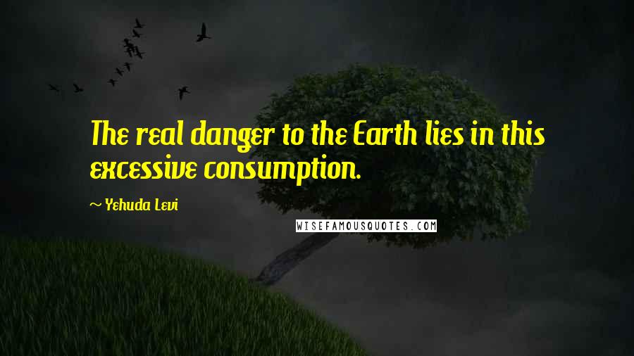 Yehuda Levi Quotes: The real danger to the Earth lies in this excessive consumption.