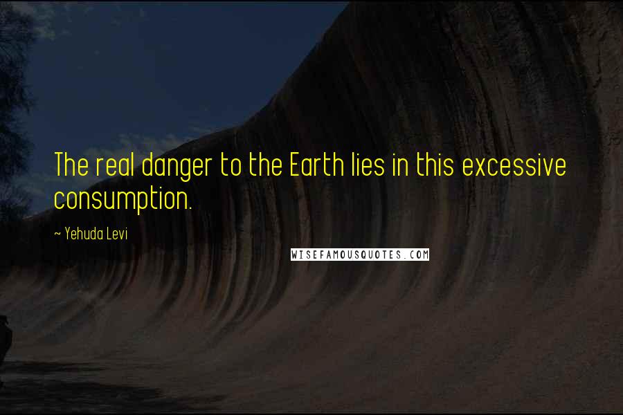 Yehuda Levi Quotes: The real danger to the Earth lies in this excessive consumption.