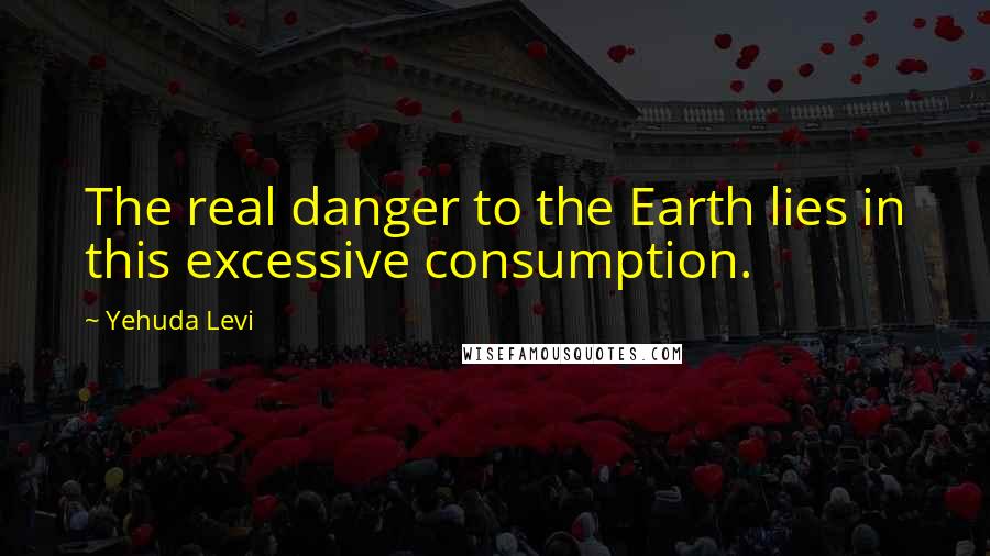 Yehuda Levi Quotes: The real danger to the Earth lies in this excessive consumption.