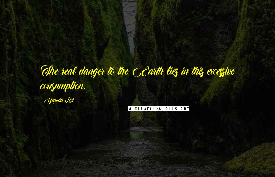 Yehuda Levi Quotes: The real danger to the Earth lies in this excessive consumption.