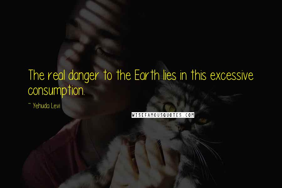 Yehuda Levi Quotes: The real danger to the Earth lies in this excessive consumption.