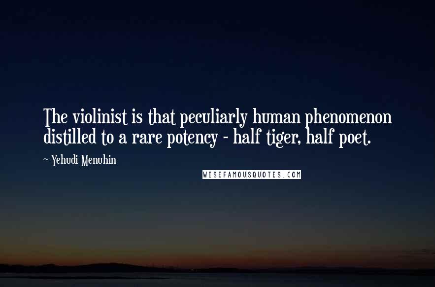 Yehudi Menuhin Quotes: The violinist is that peculiarly human phenomenon distilled to a rare potency - half tiger, half poet.