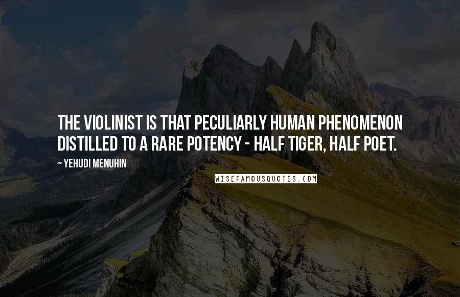Yehudi Menuhin Quotes: The violinist is that peculiarly human phenomenon distilled to a rare potency - half tiger, half poet.