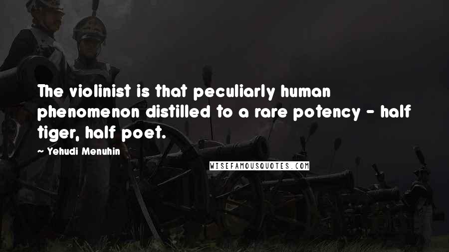 Yehudi Menuhin Quotes: The violinist is that peculiarly human phenomenon distilled to a rare potency - half tiger, half poet.