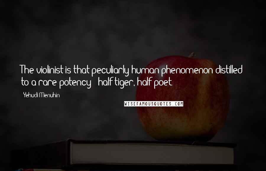 Yehudi Menuhin Quotes: The violinist is that peculiarly human phenomenon distilled to a rare potency - half tiger, half poet.