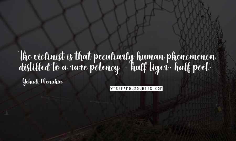 Yehudi Menuhin Quotes: The violinist is that peculiarly human phenomenon distilled to a rare potency - half tiger, half poet.