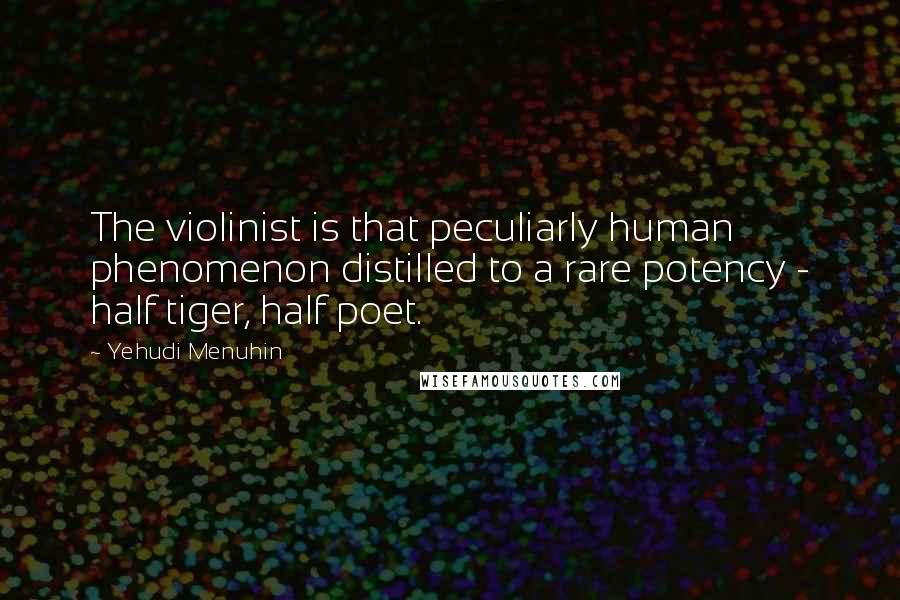 Yehudi Menuhin Quotes: The violinist is that peculiarly human phenomenon distilled to a rare potency - half tiger, half poet.