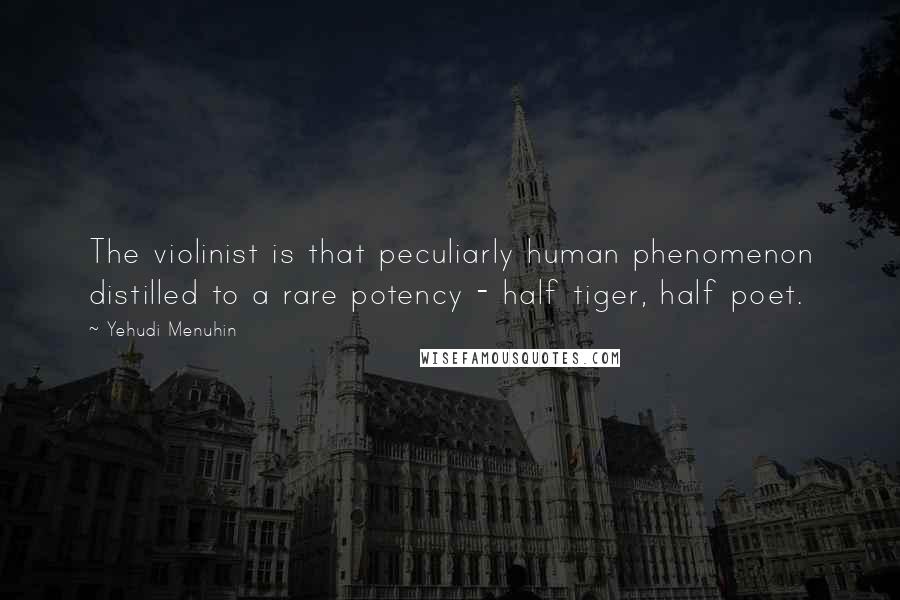 Yehudi Menuhin Quotes: The violinist is that peculiarly human phenomenon distilled to a rare potency - half tiger, half poet.