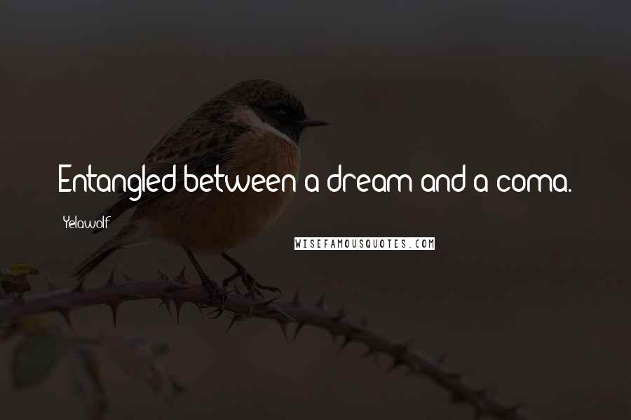 Yelawolf Quotes: Entangled between a dream and a coma.