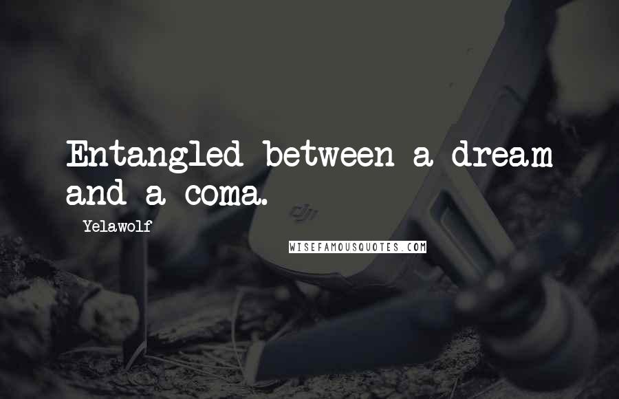 Yelawolf Quotes: Entangled between a dream and a coma.