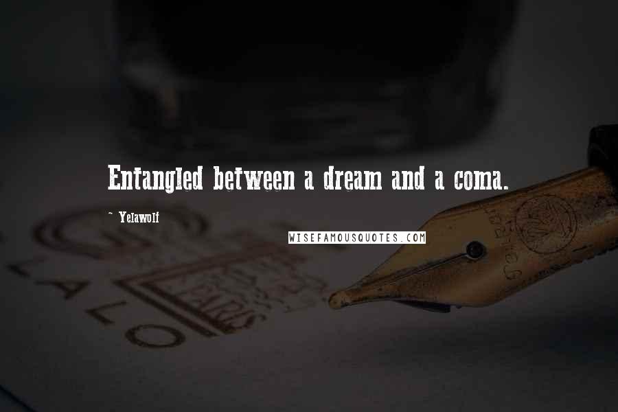 Yelawolf Quotes: Entangled between a dream and a coma.