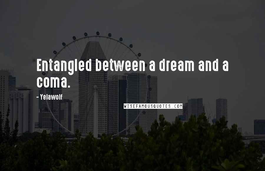Yelawolf Quotes: Entangled between a dream and a coma.
