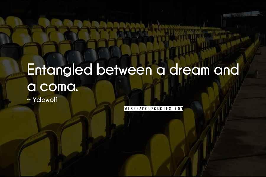 Yelawolf Quotes: Entangled between a dream and a coma.