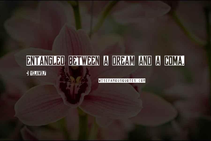 Yelawolf Quotes: Entangled between a dream and a coma.