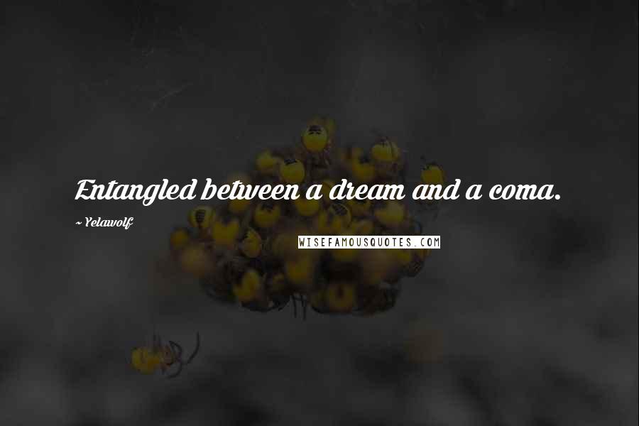 Yelawolf Quotes: Entangled between a dream and a coma.