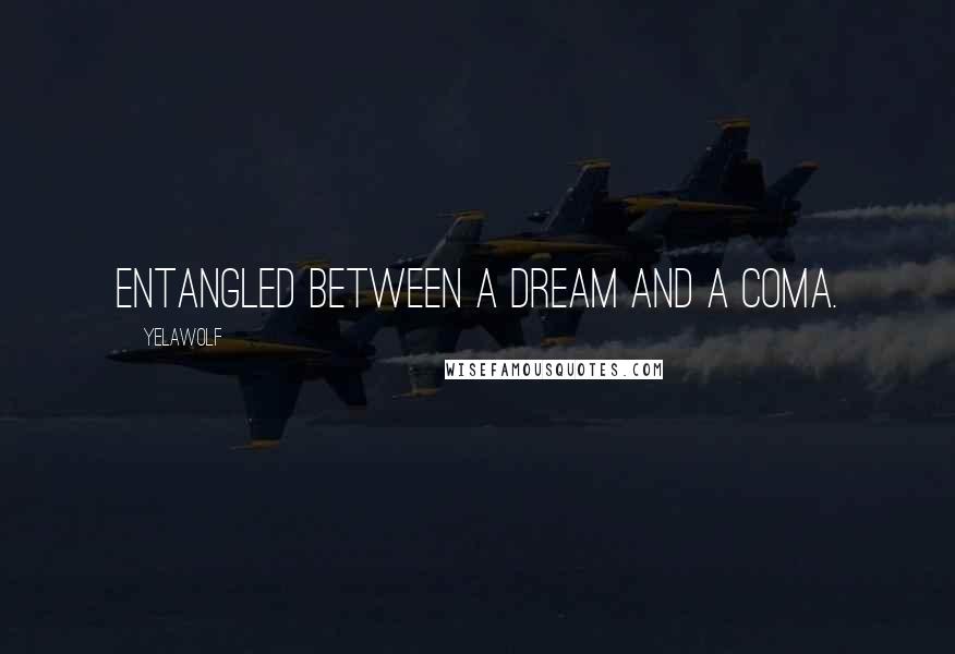 Yelawolf Quotes: Entangled between a dream and a coma.