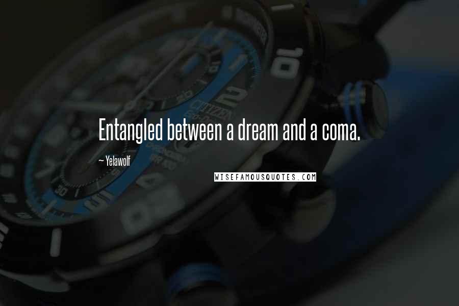 Yelawolf Quotes: Entangled between a dream and a coma.