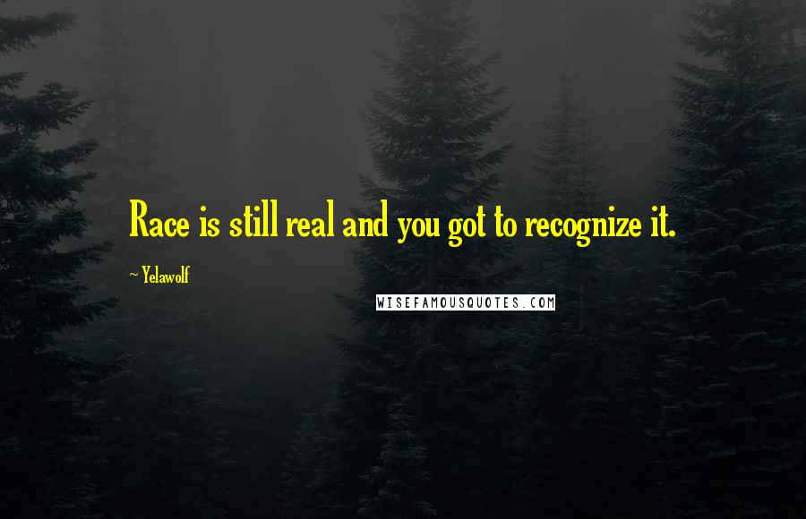 Yelawolf Quotes: Race is still real and you got to recognize it.