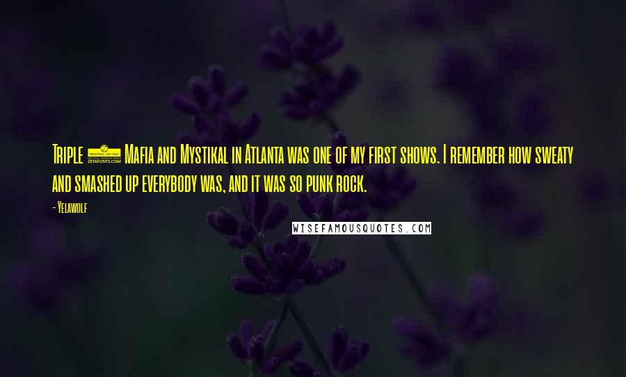 Yelawolf Quotes: Triple 6 Mafia and Mystikal in Atlanta was one of my first shows. I remember how sweaty and smashed up everybody was, and it was so punk rock.