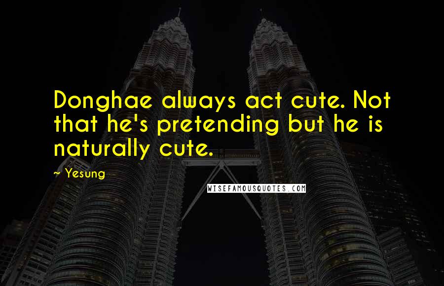 Yesung Quotes: Donghae always act cute. Not that he's pretending but he is naturally cute.