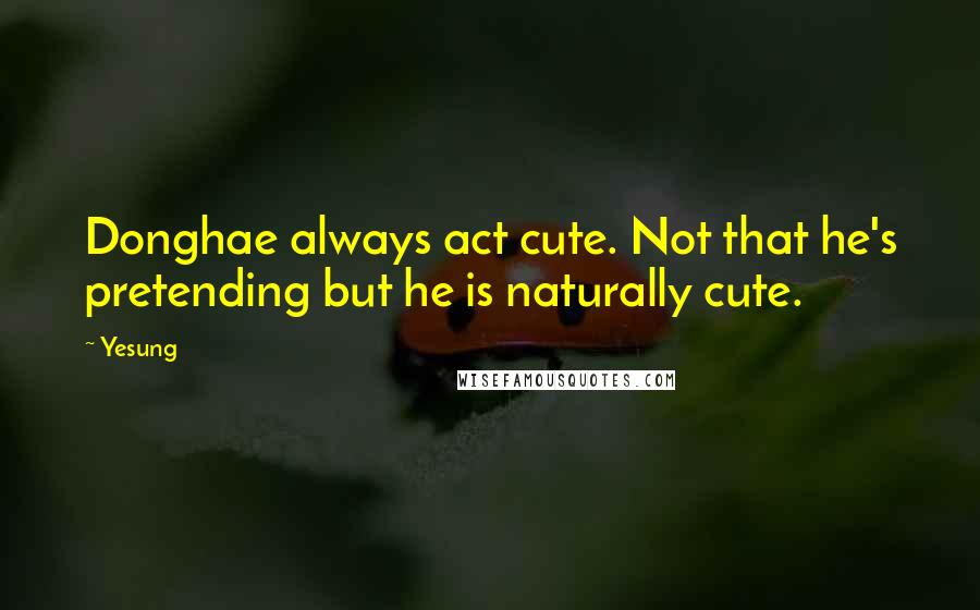 Yesung Quotes: Donghae always act cute. Not that he's pretending but he is naturally cute.