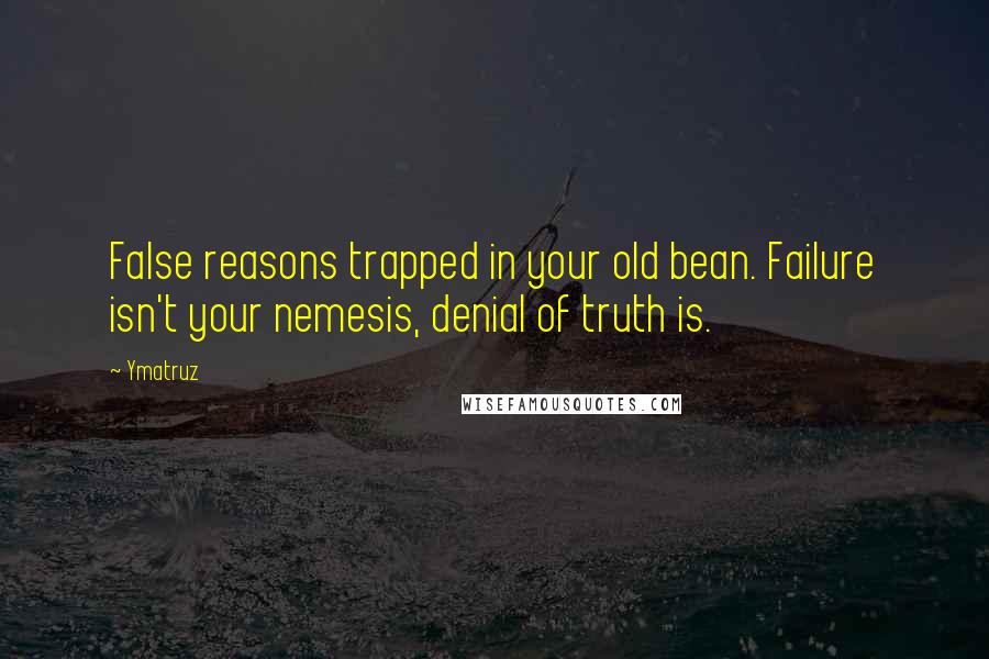 Ymatruz Quotes: False reasons trapped in your old bean. Failure isn't your nemesis, denial of truth is.