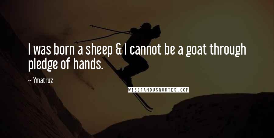 Ymatruz Quotes: I was born a sheep & I cannot be a goat through pledge of hands.