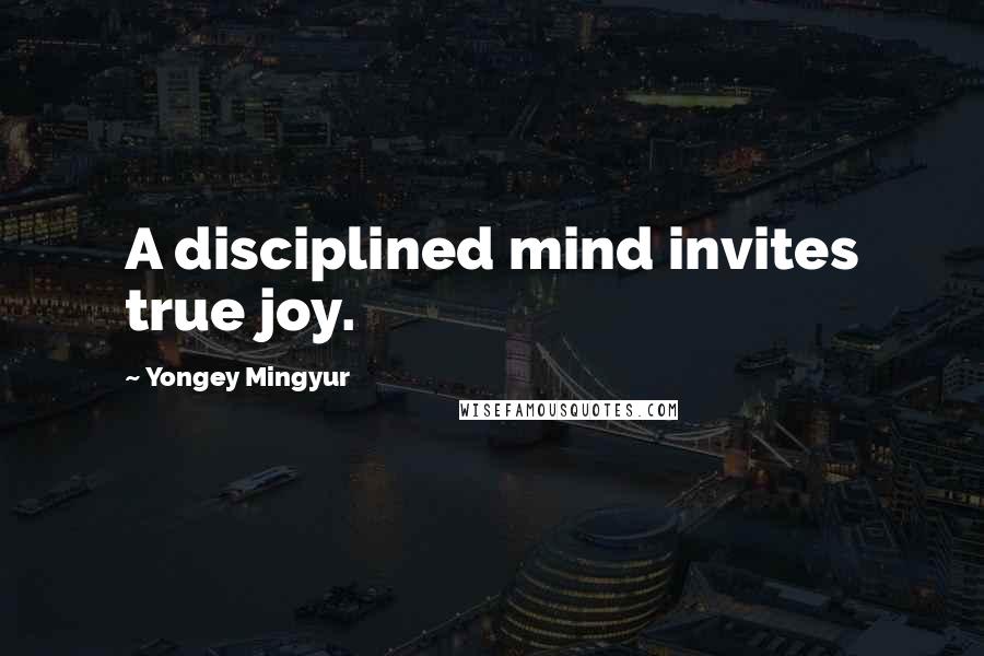 Yongey Mingyur Quotes: A disciplined mind invites true joy.