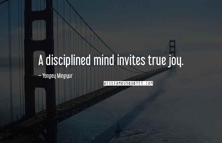 Yongey Mingyur Quotes: A disciplined mind invites true joy.